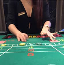 5p bet login